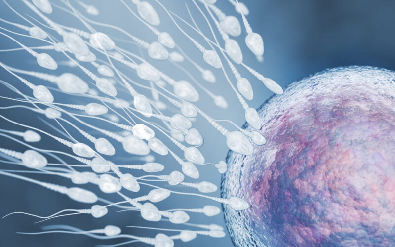 Síntomas de implantación del óvulo: consejos para personas de  Guatemala